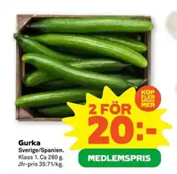 Stora Coop Gurka, Medlemspris erbjuda