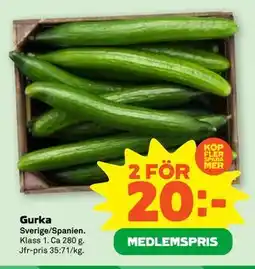 Stora Coop Gurka, Medlemspris erbjuda