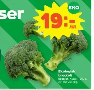 Ekologisk broccoli, SEK 19