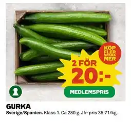 Coop GURKA, Medlemspris erbjuda