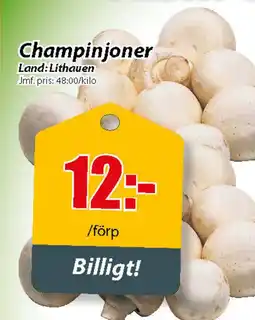 Extra Mjällby Stormarknad Champinjoner Land: Lithauen erbjuda