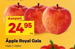 City Gross Äpple Royal Gala, SEK 24.95 erbjuda