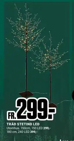 ÖoB TRÄD STETIND LED erbjuda