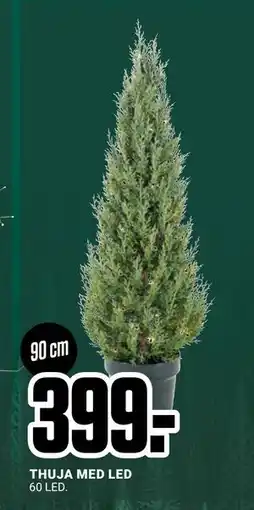 ÖoB THUJA MED LED, SEK 399 erbjuda