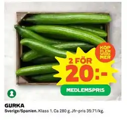 Coop Daglivs GURKA, Medlemspris erbjuda