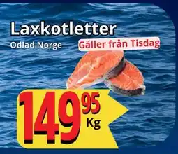Supergrossen Laxkotletter, SEK 149.95 erbjuda