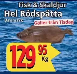 Supergrossen Hel Rödspätta, SEK 129.95 erbjuda