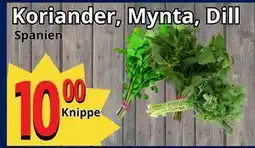 Supergrossen Koriander, Mynta, Dill, SEK 10 erbjuda