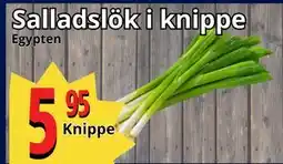 Supergrossen Salladslök i knippe, SEK 5.95 erbjuda
