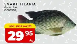 Matrix Butikerna Svart tilapia erbjuda