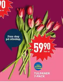 Willys TULPANER 7-PACK, SEK 59.9 erbjuda