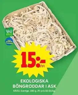 ICA Maxi Ekologiska böngroddar i ask erbjuda