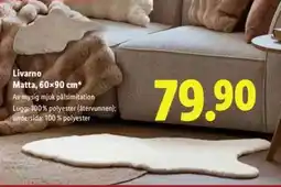 Lidl Livarno Matta, 60×90 cm erbjuda