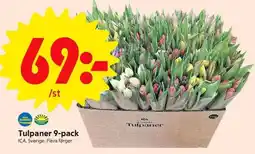 ICA Supermarket Tulpaner 9-pack erbjuda