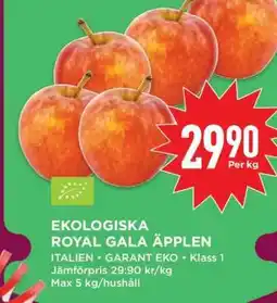 Willys Ekologiska Royal Gala Äpplen erbjuda