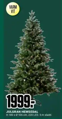 ÖoB JULGRAN HEMSEDAL erbjuda