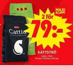 ICA Maxi Cattia Kattströ erbjuda