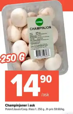Coop Extra Champinjoner i ask erbjuda