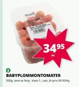 Tempo Babyplommontomater erbjuda