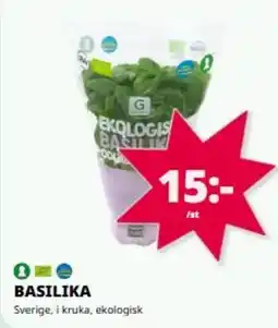 Tempo Basilika erbjuda