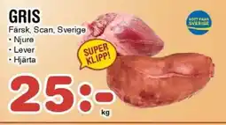 Nya Pulsen Gris erbjuda