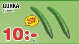 Nya Pulsen Gurka erbjuda