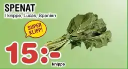 Nya Pulsen Spenat erbjuda