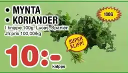 Nya Pulsen Mynta • Koriander erbjuda