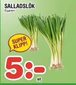 Nya Pulsen Salladslök erbjuda