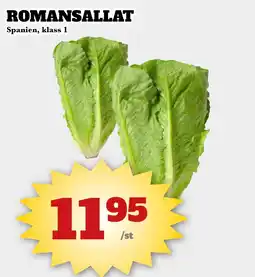 Bonum Matmarknad Romansallat erbjuda