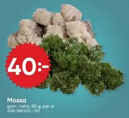 DollarStore Mossa erbjuda