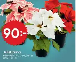 DollarStore Julstjärna erbjuda
