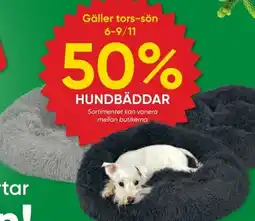 DollarStore Hundbäddar erbjuda