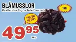 Nya Pulsen Blåmusslor erbjuda