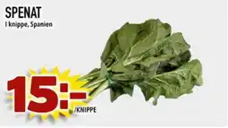 Din Mat Spenat erbjuda