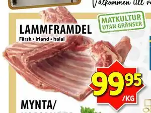 LAMMFRAMDEL, SEK 99.95