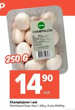 Coop Extra Champinjoner i ask, SEK 14.9 erbjuda