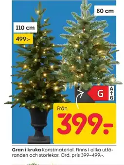 Rusta Gran i kruka erbjuda