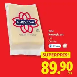 Lidl Tine Norvegia ost, SEK 89.9 erbjuda