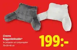 Lidl Livarno Ryggstödskudde, SEK 199 erbjuda