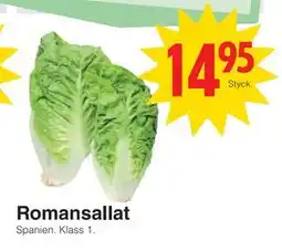 Matöppet Romansallat, SEK 14.95 erbjuda