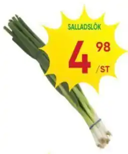 Abbe Market Salladslök erbjuda