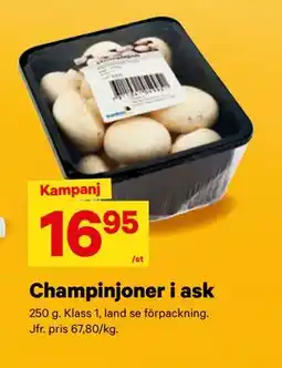 City Gross Champinjoner i ask, SEK 16.95 erbjuda