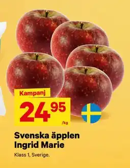 City Gross Svenska äpplen Ingrid Marie, SEK 24.95 erbjuda