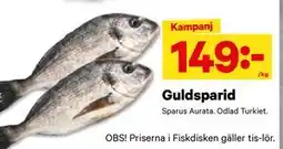 City Gross Guldsparid, SEK 149 erbjuda