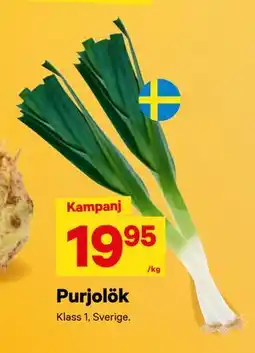 City Gross Purjolök, SEK 19.95 erbjuda