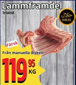 Supergrossen Lammframdel, SEK 119.95 erbjuda