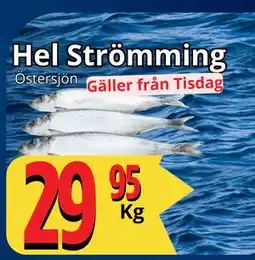 Supergrossen Hel Strömming, SEK 29.95 erbjuda