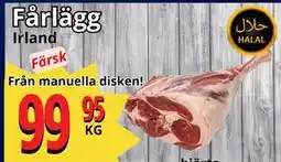 Supergrossen Fårlägg, SEK 99.95 erbjuda