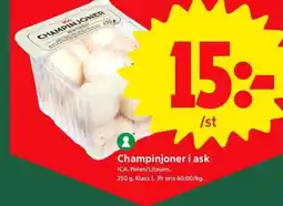 ICA Supermarket CHAMPINJONER I ASK erbjuda